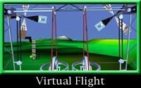 virtual flight